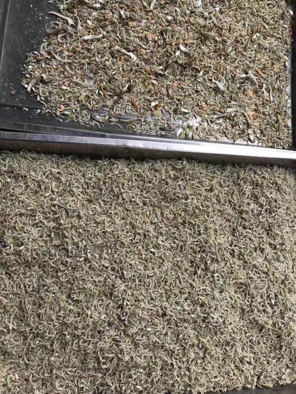 64 চ্যানেল চিংড়ি মাধ্যমিক বাছাই ফাংশন জন্য অপটিক্যাল বাছাই মেশিন
