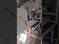 বাদামের রঙের সোর্টার