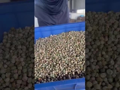 মটরশুটির জন্য ক্রলার সোর্টার