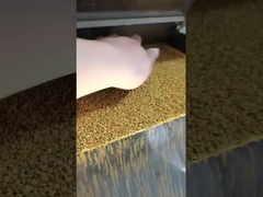 প্রতি ঘন্টায় ৫০-১৫০ কেজি, পরাগের জন্য উচ্চ রেজোলিউশন ক্যামেরা সিসিডি কালার সর্টার