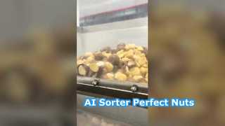 এআই ডিপ লার্নিং স্মার্ট ম্যাকাডামিয়া কালার সর্টিং মেশিন, 128টি চ্যানেল।