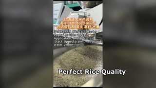 ছোট থেকে মাঝারি রাইস মিলের জন্য 32-চ্যানেল রাইস কালার সর্টার।