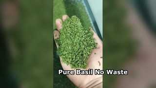 বেসিলের জন্য এআই বেল্ট-টাইপ কালার সর্টার